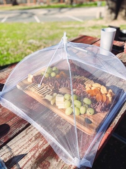 food cover, food net, mesh food cover tent, keep flies out tent, tent to keep bugs off food #LTKunder50 #LTKhome #LTKtravel Food Net, Bug Off, Food Cover, Food Covers, Bugs, Tent, Pop Up, Mesh, Bugs And Insects