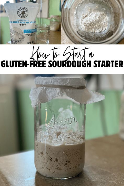 How to Make a Gluten-Free Sourdough Starter - The Rural Homesteader Sourdough Starter Gluten Free, Gluten Free Sourdough Starter Recipe, Gluten Free Sourdough Discard Recipes, Gf Sourdough Starter, Gluten Free Sourdough Discard, Gluten Free Starter, Sourdough Starters, Gluten Free Sourdough Starter, Gluten Free Sourdough Bread