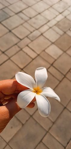 instagram story ideas | insta story | spring aesthetic | springtime | flowers | pink flowers Flower Aesthetic Snapchat, Snapchat Cover Photos Aesthetic, Real Flower Pictures Nature, Flowers Snapchat Streak, Wallpaper For Snapchat Chat, Flower Aesthetic Snap, Snapchat Cover Photo, Snapchat Chat Wallpapers, Flowers Aesthetic Snapchat