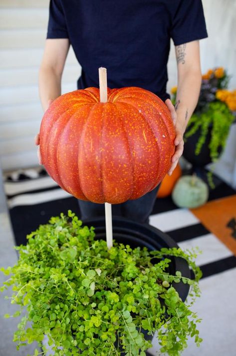 Creative Planter Ideas, Halloween Decor Diy, Creative Planter, Fall Containers, Pumpkin Topiary, Front Porch Christmas Decor Ideas, Fall Planters, Porch Christmas Decor Ideas, Fall Front Porch Decor