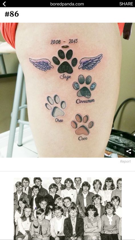 Paw Print With Wings Tattoo, Dog Memorial Tattoos, Dead Dog, Paw Tattoo, Angel Wings Tattoo, Wing Tattoo, Memorial Tattoos, Wings Tattoo, Dog Tattoo