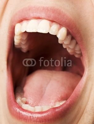 Open Mouth Pose Reference, Open Mouth Art Reference, Opening Mouth Reference, Open Mouth Reference Photo, Open Mouth Photography, Hands In Mouth, Mouth Open Reference, Open Mouth Reference, Inside Of Mouth