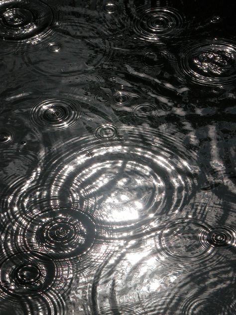 i love all the different water ripples, rings and circles created in this photo and the gloomy effect it gives in black and white. Water Ripples, Body Of Water, Water Reflections, Water Photography, Circle Ring, Black White Photos, Warrior Cats, Patterns In Nature, Blue Water