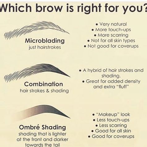 Which Brow style fits your look? Call to book your consultation today at 310-855-9558 Microblading Pre Care Instructions, Eyebrow Ombre Shading, Shading Brows Permanent, Microblading And Shading Eyebrows, Microblading Combo Eyebrows, Microblading Vs Powder Brow, Combination Brows Microblading, Ombre Eyebrows Microblading, Microblading Vs Microshading