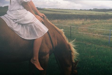 Indian Summer by Levi Macdonald #horse Foto Cowgirl, Skai Jackson, Happy September, Cowboy Baby, Cowgirl Aesthetic, Vintage Americana, Indian Summer, Jolie Photo, Horse Girl