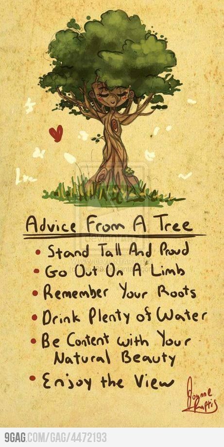 Live life like a tree. Cute idea to put up during our forest ecology unit :) Life Coaching, Quotable Quotes, Quotes For Kids, In Spanish, A Sign, Good Advice, The Words, Great Quotes, A Tree