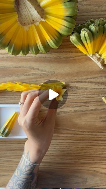 Diy Hawaiian Flowers, Lei Making, Lei Painting, Hawaiian Lei Craft, Hawaiian Leaf Crown, Tongan Kahoa Lei, Hawaiian Flower Arrangements, Traditional Hawaiian Wedding Leis, Ti Leaf Lei