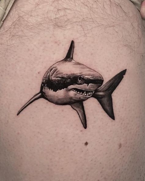 Get ready to dive into the world of shark tattoos and discover their unique symbolism and style. We invite you to learn more about their meaning, as well as choose a design that's right for you. Bruce Shark Tattoo, Shark Tattoo Watercolor, Great White Shark Tattoo Ideas, Great White Tattoo Shark, Shark Head Tattoo, Shark Tattoo Arm, Realistic Shark Tattoo, Shark Leg Tattoo, Shark Tattoo Men