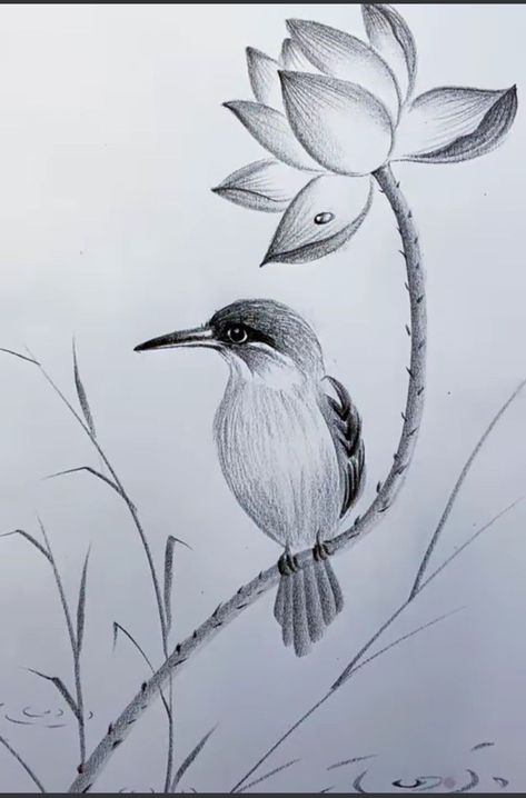 Simple Nature Drawing, Bird Pencil Drawing, Butterfly Art Drawing, Pencil Drawing Images, Pencil Drawings Of Flowers, Shading Drawing, Arte Aesthetic, Abstract Pencil Drawings, Silent Scream