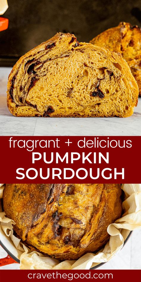 Pumpkin sourdough bread is the perfect way to celebrate fall. It’s packed with pumpkin spice and cranberries, so it’s sweet and savory at the same time. This delicious bread will be your family's favorite this holiday season! You can make this amazing pumpkin sourdough and enjoy it any day of the week. Plus we've included step by step instructions that even beginners can follow. We're sure once you try it out yourself at home, everyone will want seconds of this tasty treat! | cravethegood.com Fall Artisan Bread, Pretty Artisan Bread, Pumpkin Cinnamon Swirl Sourdough, Pumpkin Bread Artisan, Pumpkin Sour Dough Bread Recipe, Pumpkin Brown Sugar Sourdough, Healthy Fall Bread, Chocolate Chip Pumpkin Sourdough Bread, Home Made Sourdough Bread