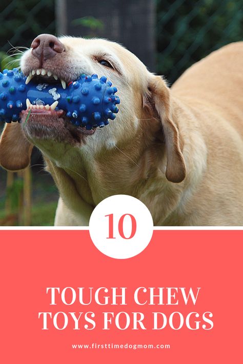 Stop wasting money on dog toys that your dog rips apart in minutes!  Read this article to find out the top 10 toughest and most indestructible chew toys for dogs. Chew Toys For Dogs, Indestructible Dog Toys, Dog Toys For Aggressive Chewers, Dog Training Aggression, Dog Aggression, Toys For Dogs, Dog Accesories, Dog Toys Indestructable, Dog Advice