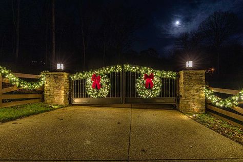 Christmas Gate Decorations Outdoor, Christmas Tree Gate, Gate Lights, Christmas Lights Outside, Outdoor Gate, Gate Decoration, White Christmas Lights, Diy Christmas Lights, Entrance Gate