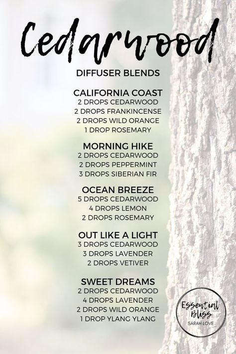 Cedar Wood Diffuser Blends, Woodsy Essential Oil Blend, Guaiacwood Diffuser Blends, Cedarwood Diffuser Blends, Candle Measurements, Cedar Essential Oil, Eo Blends, Doterra Diffuser Blends, Essential Oil Combinations