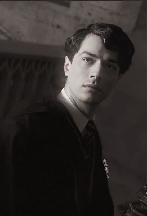 Riddle Brothers, Knights Of Walpurgis, The Slytherin Boys, Young Tom Riddle, Christian Coulson, Slytherin Gang, Tom Marvolo Riddle, Tom Hughes, Slytherin Harry