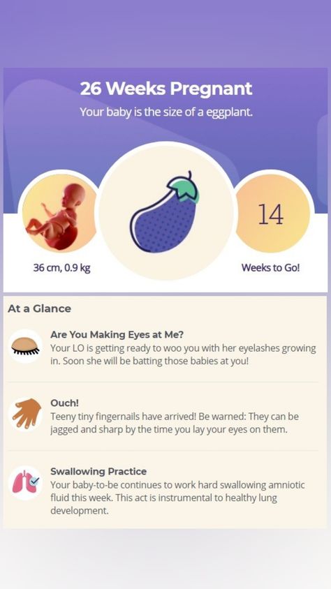 Baby Countdown, 26 Weeks Pregnant, 34 Weeks Pregnant, Pregnancy Week, How To Grow Eyelashes, Mommy Time, Pregnancy Food, Second Trimester, Baby Growth