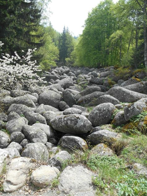 Vitosha Mountain, Sofia, Bulgaria Vitosha Mountain Sofia Bulgaria, Bulgarian People, Vitosha Mountain, Bulgaria Sofia, Eastern Mediterranean, Eastern Europe Travel, Sofia Bulgaria, Vision Boards, Planning A Trip