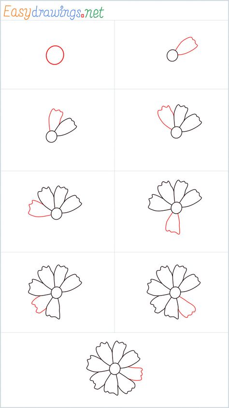 How to Draw a Marigold step by step - [9 Easy Phase] Marigolds Drawing Easy, Marigold Drawing Step By Step, How To Draw Marigolds Step By Step, How To Draw A Marigold Step By Step, Easy Marigold Drawing, How To Draw A Marigold, How To Draw Marigolds, Draw Marigold Flower, Marigold Sketch