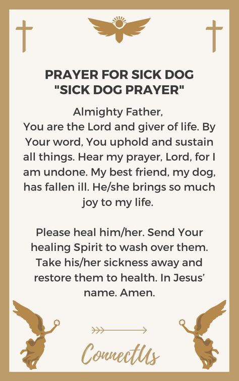 Prayer For Sick Dog, Comforting Prayers, Encouraging Prayers, Healing Prayers, Marriage Restoration, Warfare Prayers, Healing Verses, Healing Prayer, Gods Guidance