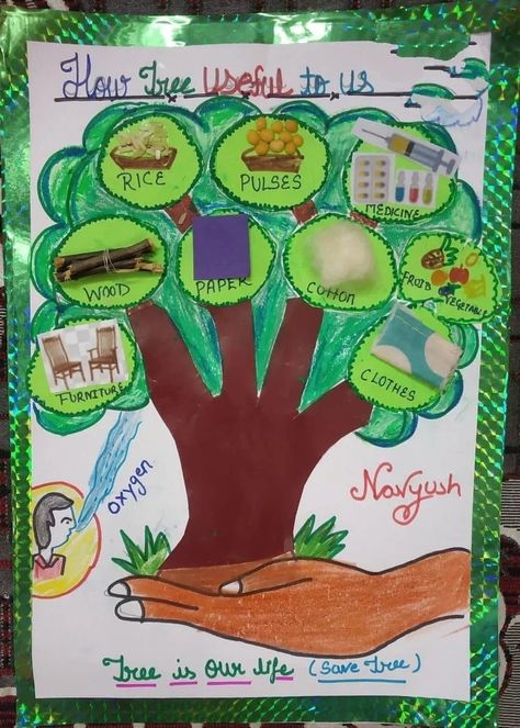 Things We Get From Trees Chart, Things We Get From Plants Chart, Van Mahotsav Activities, Rakhi Chart For School, Kindergarten Science Projects, Environmental Projects At School, Craft Work For Kids, Tree Study, Kindergarden Activities