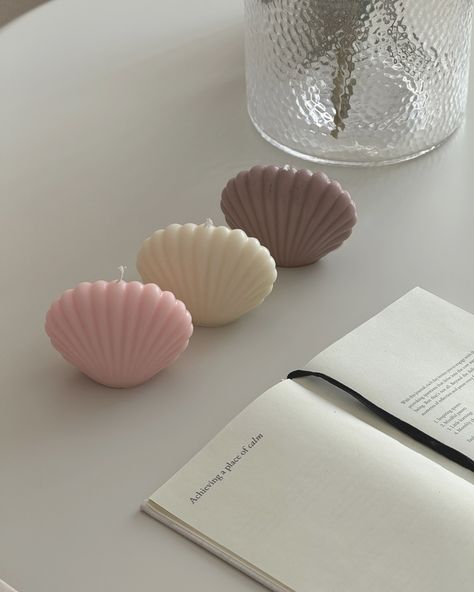 these seashell candles might be your sign to book that beach vacay 🐚✨🤍 #scentedcandles #soycandles #candleaestetic #aestheticcandles #minimalistcandles #candlemaking #candleinspiration #giftideas #homedecorinspo Seashell Candles, Small Business Instagram, Minimalist Candles, Business Instagram, Beach Vacay, Aesthetic Candles, Aesthetic Minimalist, Candle Business, Candle Inspiration