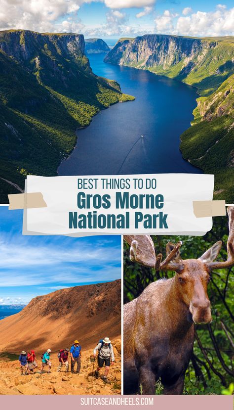 Best Things to Do: Gros Morne National Park Eastern Canada Travel, Travelling Canada, Pond Boat, North America Road Trip, Nova Scotia Travel, Gros Morne National Park, Gros Morne, Newfoundland Travel, Visit Toronto