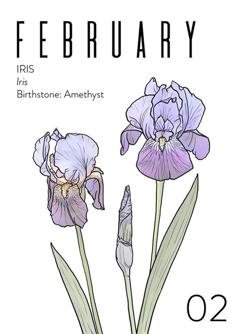 Iris Aesthetic Flower, Virgen Mary Tattoo, Flower February, February Birth Month Flower, February Flower, February Birth Flower, Bookplate Design, February Birth Flowers, Mary Tattoo