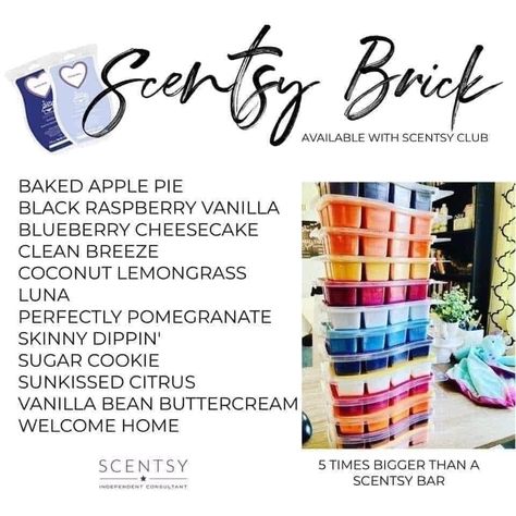 Scentsy Bricks can only be purchased through a Scentsy Club subscription. They're 5x bigger than a Scentsy bar. Scentsy Bricks, Scentsy Club, Scentsy Brick, Join Scentsy, Scented Wax Warmer, Black Raspberry Vanilla, Scentsy Bars, Apple Seeds, Wickless Candles