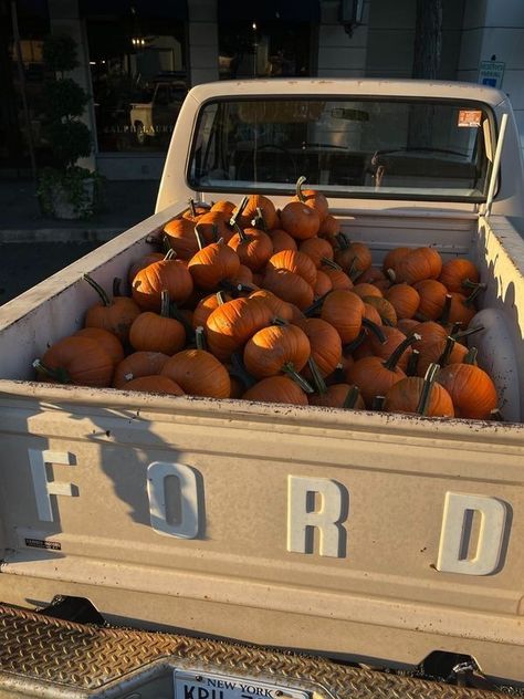 Fall Boards, Fall Mood Board, Jeanne Damas, Wallpaper Halloween, Pumpkin Spice Season, Fall Inspo, Fall Feels, Fall Pictures, Autumn Cozy