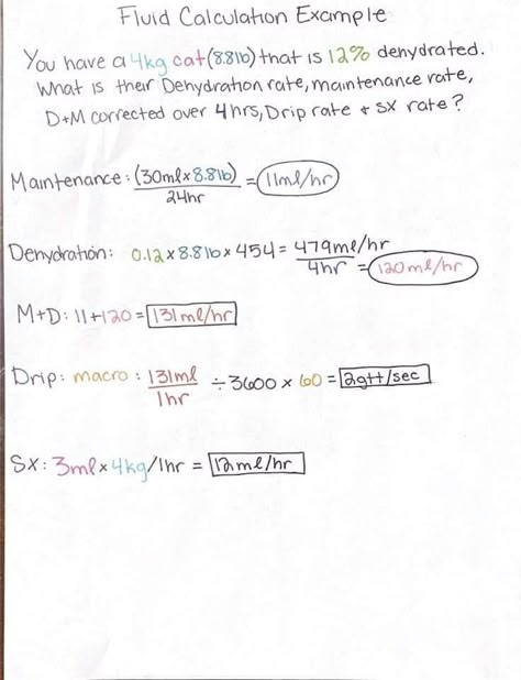 Vet Tech Medical Math, Vtne Prep Veterinary Technician, Vet Tech Cheat Sheet, Anesthesia Monitoring, Vet Tech Prep, Veterinary Notes, Vtne Study, Veterinary Technician Student, Vet Tech Notes