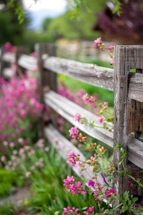 Charming Rustic Split Rail Fence Landscaping Ideas Rustic Stables, Two Rail Fence, Decorative Split Rail Fence Ideas, Split Rail Fence Garden Ideas, Flowers Along Fence, Back Fence Landscaping Ideas, Rustic Fence Ideas, Split Rail Fencing, Cottage Fence