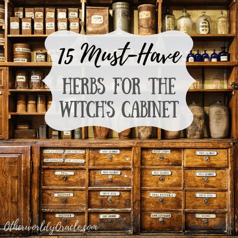 15 MUST-HAVE Herbs for the Witch's Herb Cabinet Must Have Witch Herbs, Witches Herb Cabinet, Witch Herb Cabinet, Herbs Every Witch Should Have, Kitchen Witch Herbs And Spices, Must Have Herbs For Witches, Witch’s Apothecary, Witches Apothecary Cabinet, Starting An Herb Business