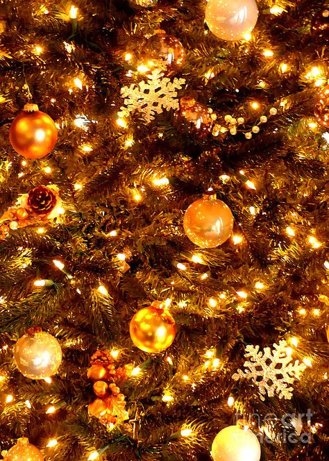 Glowing Golden Christmas Tree by Carol Groenen Yellow Christmas Aesthetic Wallpaper, Yellow Christmas Aesthetic, Yellow Christmas Wallpaper, Orange Christmas Aesthetic, Gold Christmas Aesthetic, Golden Christmas Tree, Christmas Yellow, Christmas Aesthetics, Christmas Lights Wallpaper