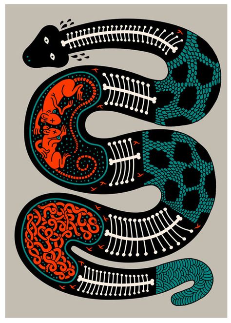 Serge Seidlitz — Xray Snake                                                                                                                                                                                 More Art And Illustration, Arte Occulta, Snake Art, 카드 디자인, Arte Inspo, A Snake, Black And Yellow, 영감을 주는 캐릭터, Aboriginal Art