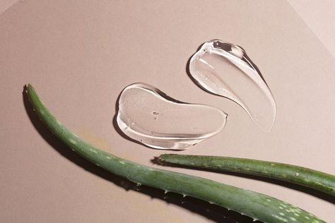 The Uses for Aloe Vera are Endless—Here are the 8 Best