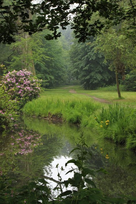 Meena's Tirith, Fae Aesthetic, Trees And Flowers, Foto Art, Garden Cottage, Nature Aesthetic, Pretty Places, Underworld, Green Aesthetic