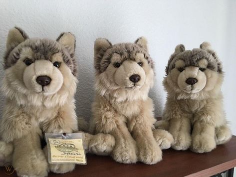 Wolf Plushie Aesthetic, Essa Dog, Wolf Core, Wolf Plushie, Douglas Dog, Timber Wolves, Toys Aesthetic, Webkinz Signature, Wolf Stuffed Animal