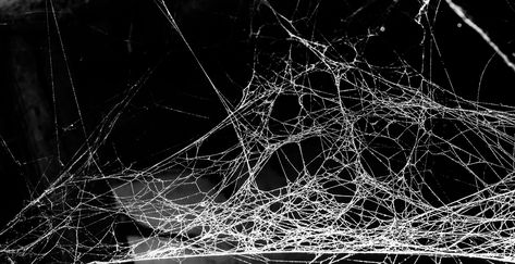 Black Background Horizontal, Background Horizontal, Spider Costume, Halloween Spider Decorations, Levitation Photography, Homemade Halloween Decorations, Pop Art Drawing, Spider Webs, Halloween Spider Web