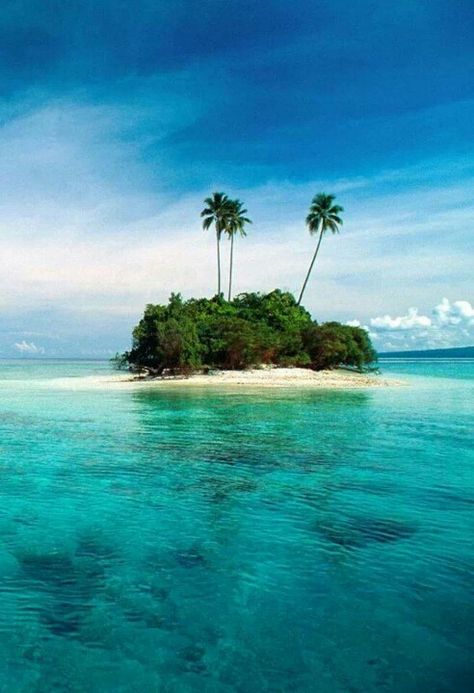 ♥ Palm Trees, Arnhem Clothing, Solomon Islands, South Pacific, Happy Weekend, Blue Water, Blue Ocean, In The Middle, The Middle