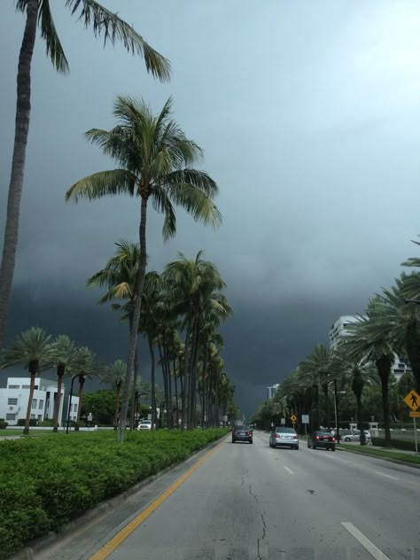 Rainy Day In Miami, Miami Rainy Day, Bad Weather Aesthetic, Miami View, Florida Gothic, Bal Harbour Miami, Miami Looks, Miami Lifestyle, Miss Florida