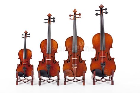 Family of Violins. A set of four violins differing in height and size , #AFFILIATE, #set, #Violins, #Family, #violins, #size #ad Music Teaching, Folk Song, Teaching Music, Flip Flop, Violin, Teaching Ideas, Stock Images Free, Music Instruments, Photo Image