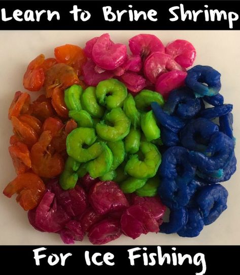 Ice Fishing Humor, Ice Fishing Walleye, Ice Fishing Diy, Ice Fishing House, Walleye Fishing Tips, Ice Fishing Tips, Ice Fishing Jigs, Ice Fishing Gear, Ice Fishing Lures