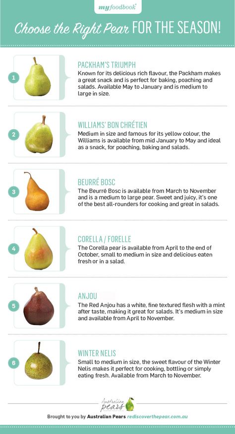 Choose the perfect pear variety this with insightful guide for pear season. Pear Varieties, Food Infographic, Pear Recipes, Food Stories, Food Charts, Food Info, Food Science, Cooking Ingredients, Food Facts