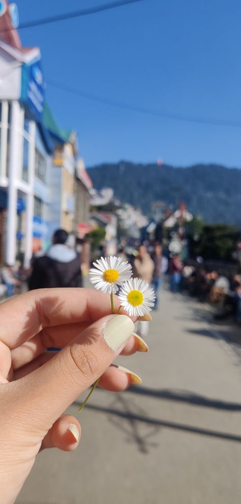 #shimla #himachal #flowers #mallroad #india #aesthetic Dehradun Aesthetic Pics, Shimla Instagram Story, Manali Aesthetic Photos, Travel India Aesthetic, Shimla Snap, Himachal Aesthetic, Shimla Snapchat, Mountain Trip Aesthetic, Dehradun Aesthetic