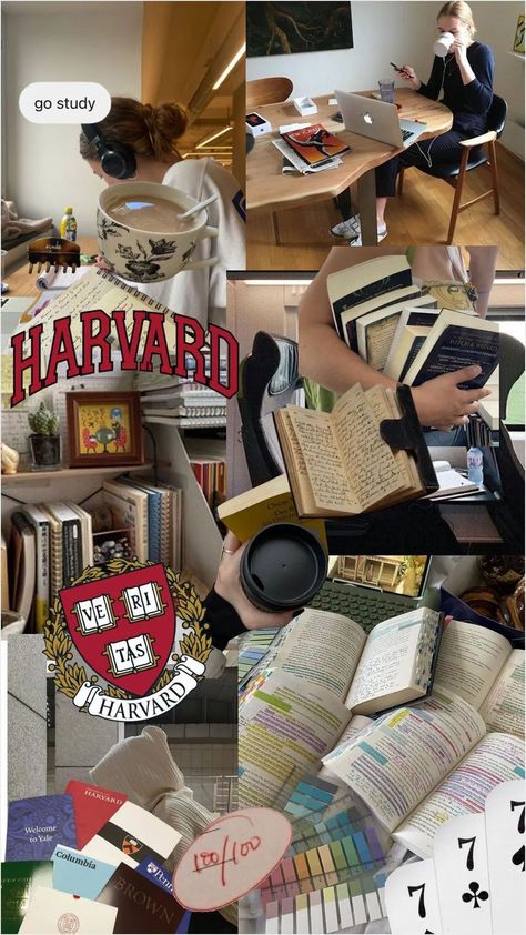 Harvard University Campus, Study Wallpaper, University Inspiration, Dream Studies, Harvard Students, College Vision Board, Law School Inspiration, Exam Study Tips, College Motivation