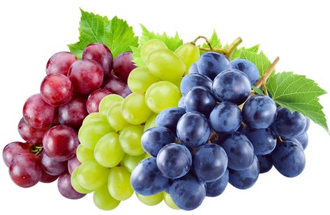 Fruit, Old World, Grapes