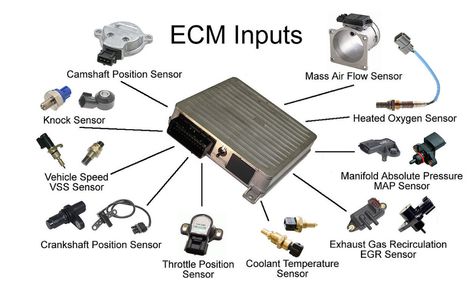 ECM Inputs - Download - 4shared - Jeremy Moore Motor Mechanics, Basic Electrical Wiring, Car Ecu, Automotive Technician, Corsa Classic, Electrical Circuit Diagram, Automobile Technology, Electrical Diagram, Automobile Engineering