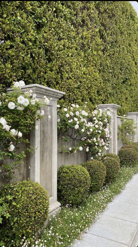 Boxwood Garden Design, Landscaping Around Ac Unit, Sidewalk Garden Ideas, Garden Rocks Ideas, French Landscaping, Walled Courtyard Garden, French Landscape, Garden Rocks, Villa Garden