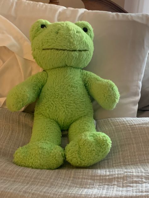 Frog Plushie, Frog Doll, Micro Pigs, Doll Aesthetic, Dark Green Aesthetic, Color Vibe, Bright Pictures, Cute Stuffed Animals, Cute Frogs