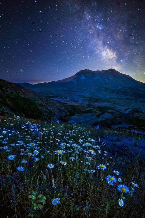 Mount St Helens by Guillaume Veran / 500px Mount St Helens, St Helens, Art References, Landscape Photography, Art Reference, Flowers, Travel, Photography, Beauty