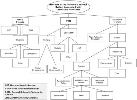 Neurocardiogenic Syncope and Related Disorders of Orthostatic Intolerance | Circulation Orthostatic Intolerance, Ehlers Danlos Syndrome Types, Autonomic Dysfunction, Autonomic Nervous System Dysfunction, Neurocardiogenic Syncope, Ehlers Danlos Syndrome Hypermobility, Differential Diagnosis, Crps Awareness, Autonomic Nervous System